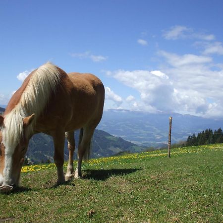 Bauernhof Pension Juri Obergösel Buitenkant foto