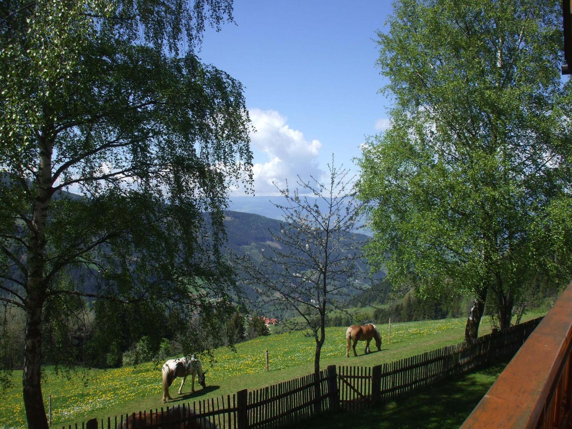 Bauernhof Pension Juri Obergösel Buitenkant foto